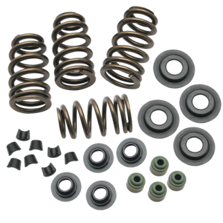 S&S Cycle 04-19 XL Valve Spring Kit - .650in