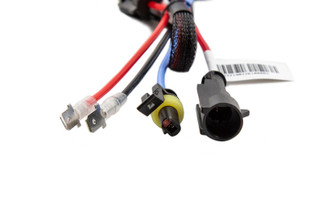 Diode Dynamics HID Bulb D2H 6000K (Pair)