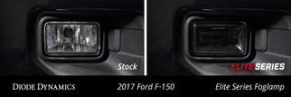 Diode Dynamics Elite Foglamp Type F2 - Yellow (Pair)