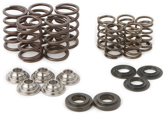 Raptor Spring Kit/ Ti Retainers