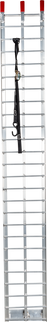 WP61-0727_1.png