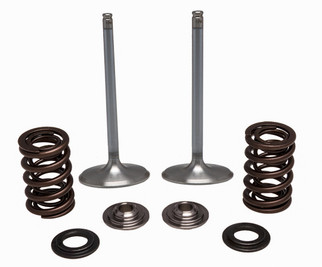 Ss Intake Valve/spring Kit