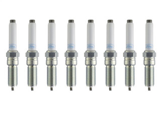 Ford Racing 21-25 F-150 5.0L Coyote (w/Variable Displacement) Cold Spark Plug Set