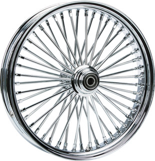 Fr 48-spk Sd Chrome 21x3.5 Wg-hub 25m Abs 00 Ltr