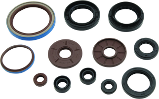 QuadBoss 09-10 Arctic Cat 1000 TRV Oil Seal Set