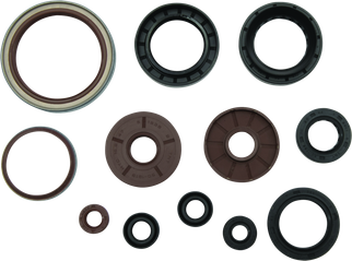 QuadBoss 09-10 Arctic Cat 1000 TRV Oil Seal Set
