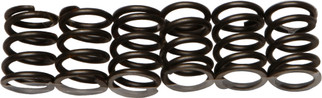 Clutch Springs Csk19