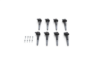Ford Racing Boss 5.0L Block Plug & Dowel Kit