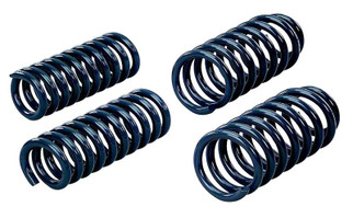 Hotchkis 67-88 GM A/G Body Rear Lowering Sport Coil Springs