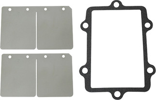 Reed Valve Rebuild Kit A/c
