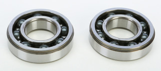 Crankshaft Bearing & Seal Kit Gas/yam