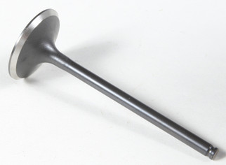 Black Diamond Intake Valve