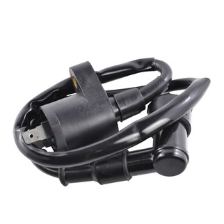 External Ignition Coil W/spark Plug Cap