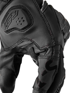 WP556-3650010_179.png