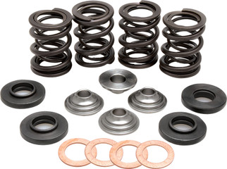 Racing Valve Spring Kit