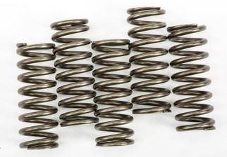 Clutch Springs Csk254
