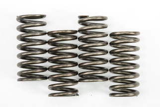 Clutch Springs Csk248