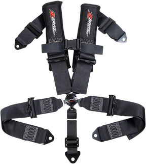 3" 5 Point Cam Lock Harness