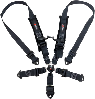 2" 5 Point Cam Lock Harness