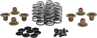 Beehive Valve Spring Kit .640 Lift  M8 17-24 Non Vvt