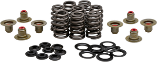 Beehive Valve Spring Kit .550 Lift  M8 17-24 Non Vvt