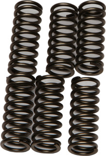 Clutch Springs Csk196