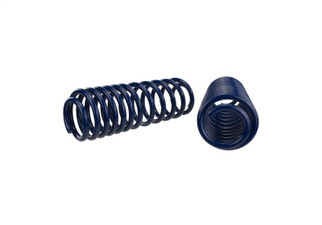 Ford Racing 2007-2014 Mustang Shelby GT500 Springs