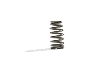 Ford Racing BOSS 302R Valve Spring Kit