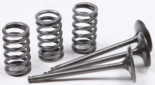 Intake Valve Conversion Set Ti-steel Gas/yam