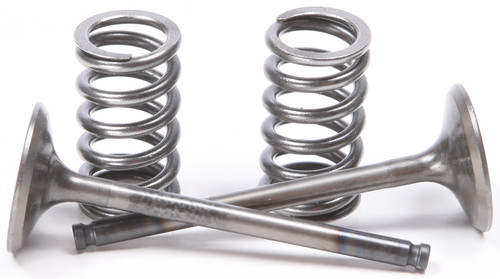 Exhaust Valve Conversion Set Ti-steel Gas/yam