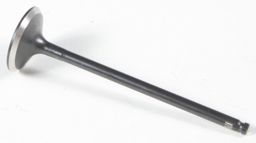 Black Diamond Intake Valve