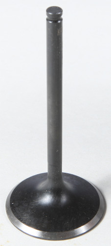 Intake Valve