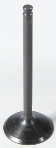 Exhaust Valve