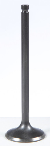 Black Diamond Exhaust Valve