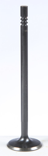 Black Diamond Exhaust Valve