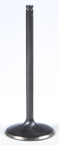 Black Diamond Intake Valve