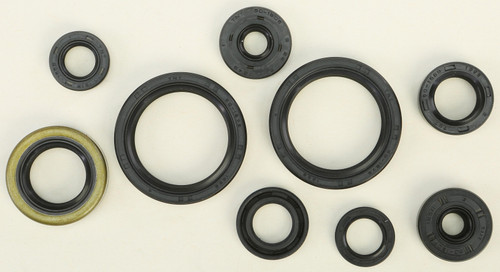 Oil Seal Set