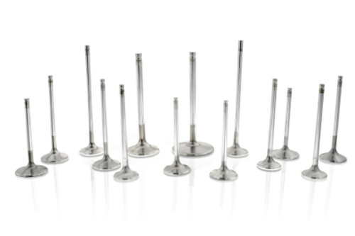 Ferrea 08-12 Honda Accord LX K24Z2 I-VTEC 28mm Head 5.48mm Stem Dia Comp Plus Intake Valve- Set of 8
