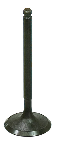 Intake Valve