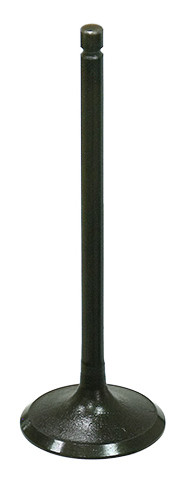 Intake Valve