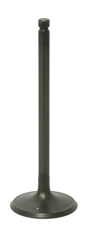 Intake Valve