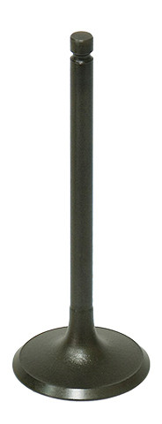Intake Valve