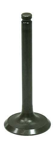Exhaust Valve