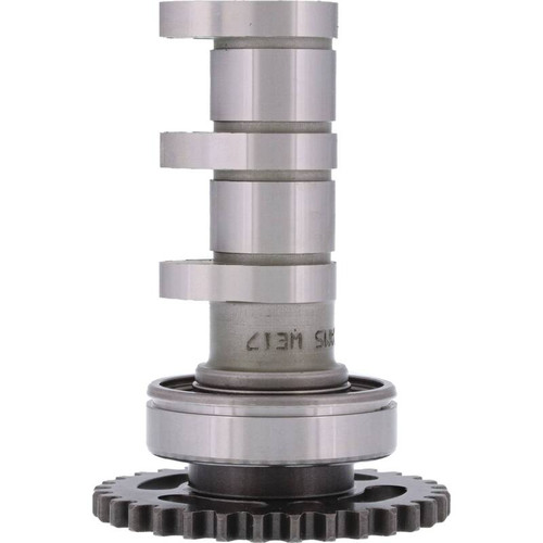 Hot Cams 01-13 WR 250 F/01-13 YZ 250 F Intake Camshaft - Stage 2