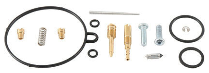 Bike Carburetor Rebuild Kit
