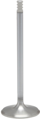 White Diamond Intake Valve M8 1.571 Std