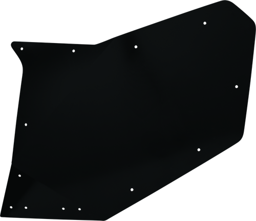 DragonFire Racing Rear Passenger Door Skin For 522137