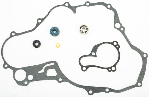 Water Pump Repair Kit W/bearings Yam
