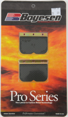 Motorcycle Pro Reeds