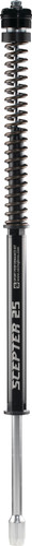 Scepter +2" Cartridge Kit 49mm Med Weight  Dyna 06-17
